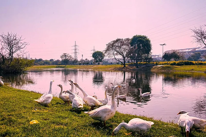 Inside Bansera Park, New Delhi