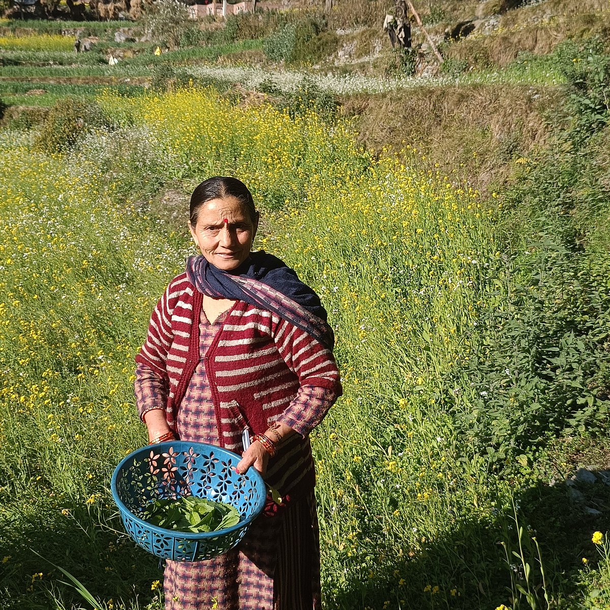 The kind soul in the mountains