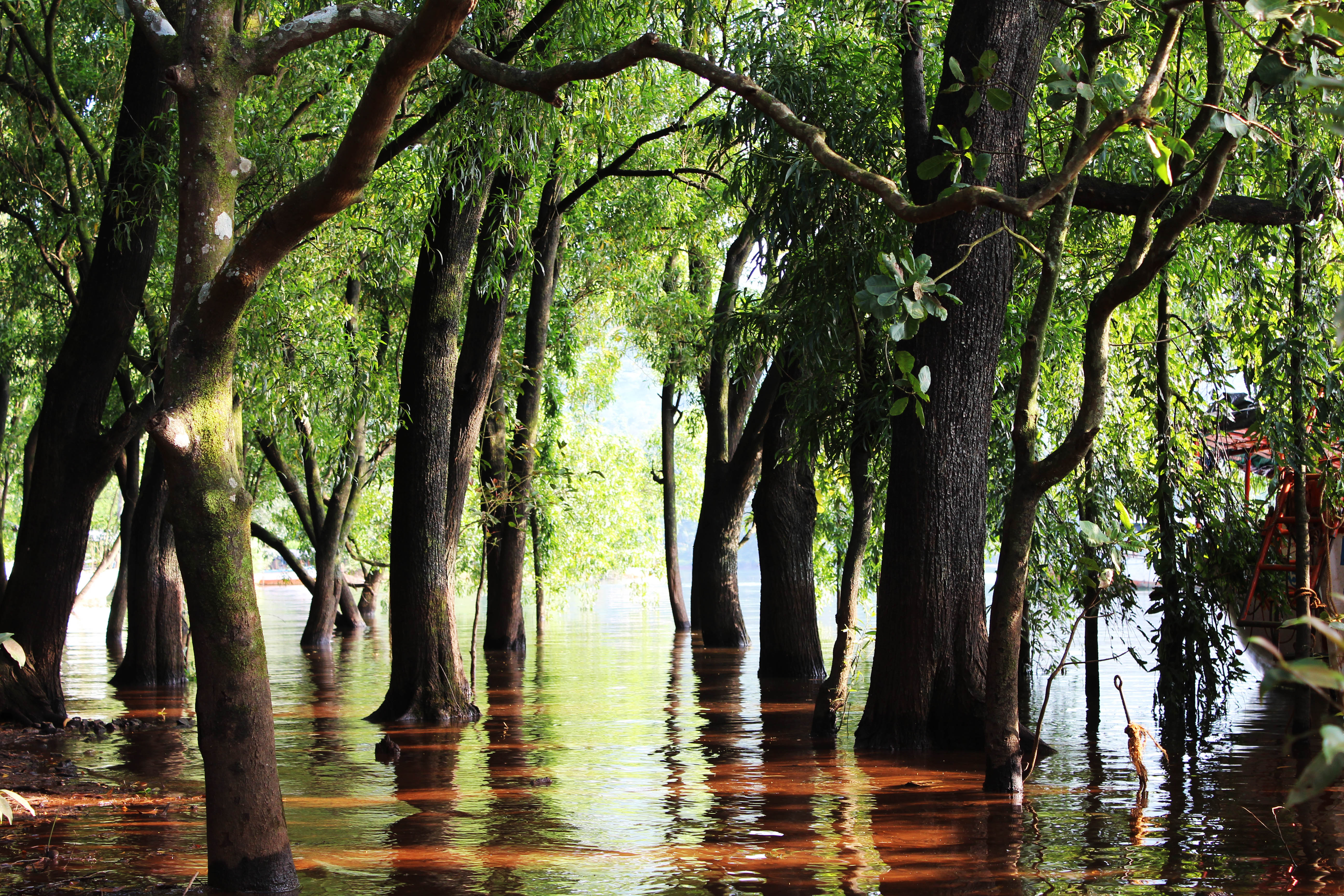Bamnoli view, Shivsagar Lake, Maharashtra