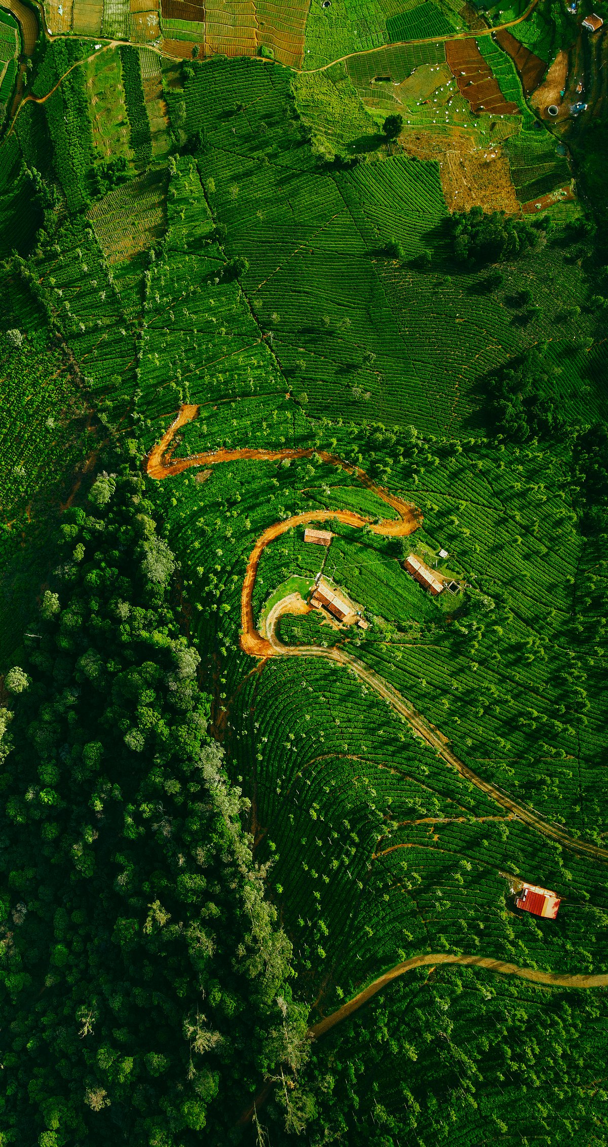 Unsplash : An aerial shot from Ooty