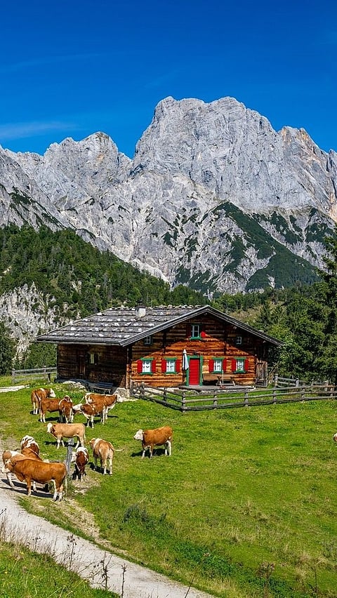 As the country with a large alpine territory, Austria is an ideal hut-to-hut hiking destination