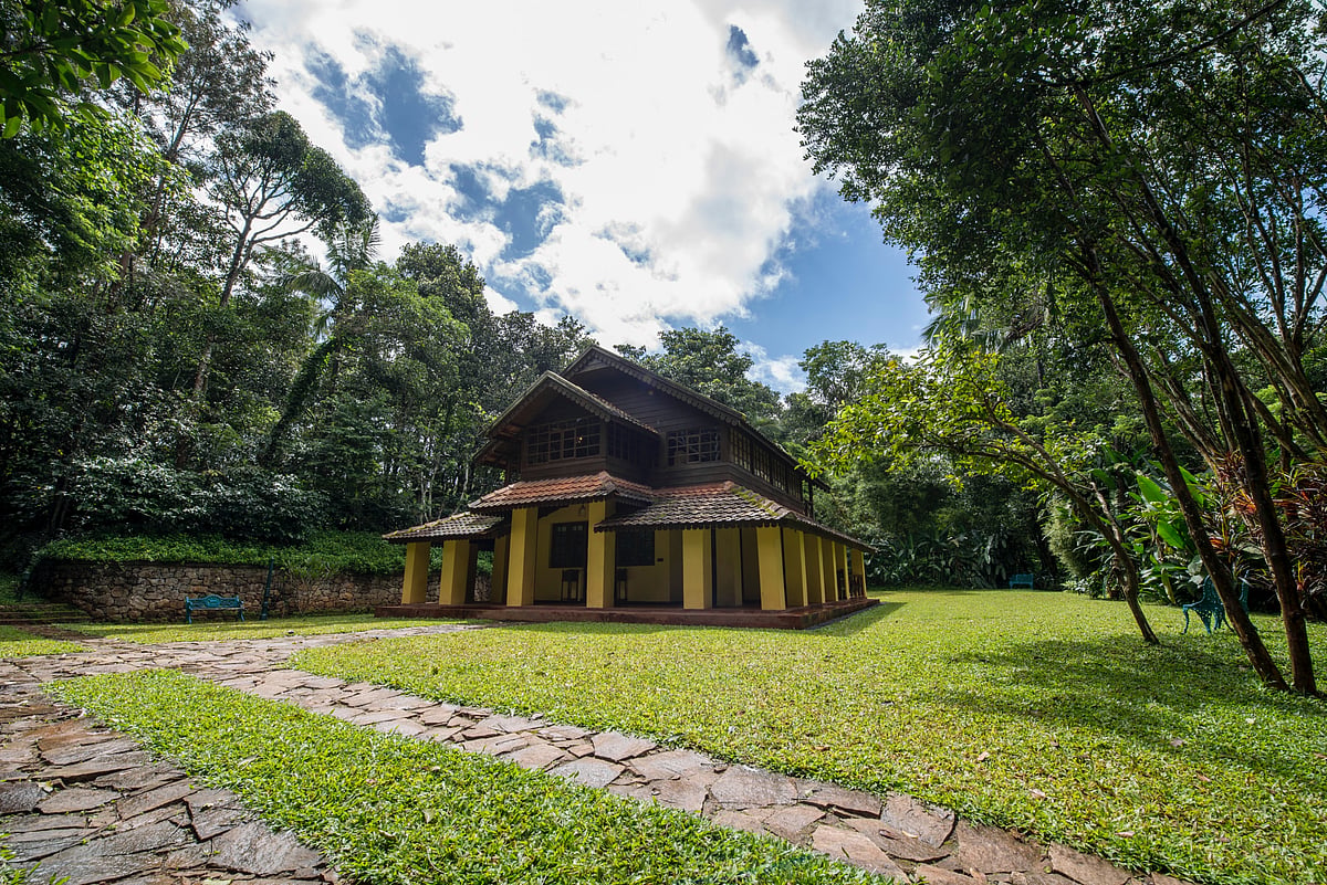 A plantation-era escape where heritage, rainforest calm and quiet luxury set the mood for romance