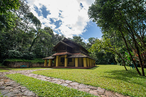A plantation-era escape where heritage, rainforest calm and quiet luxury set the mood for romance