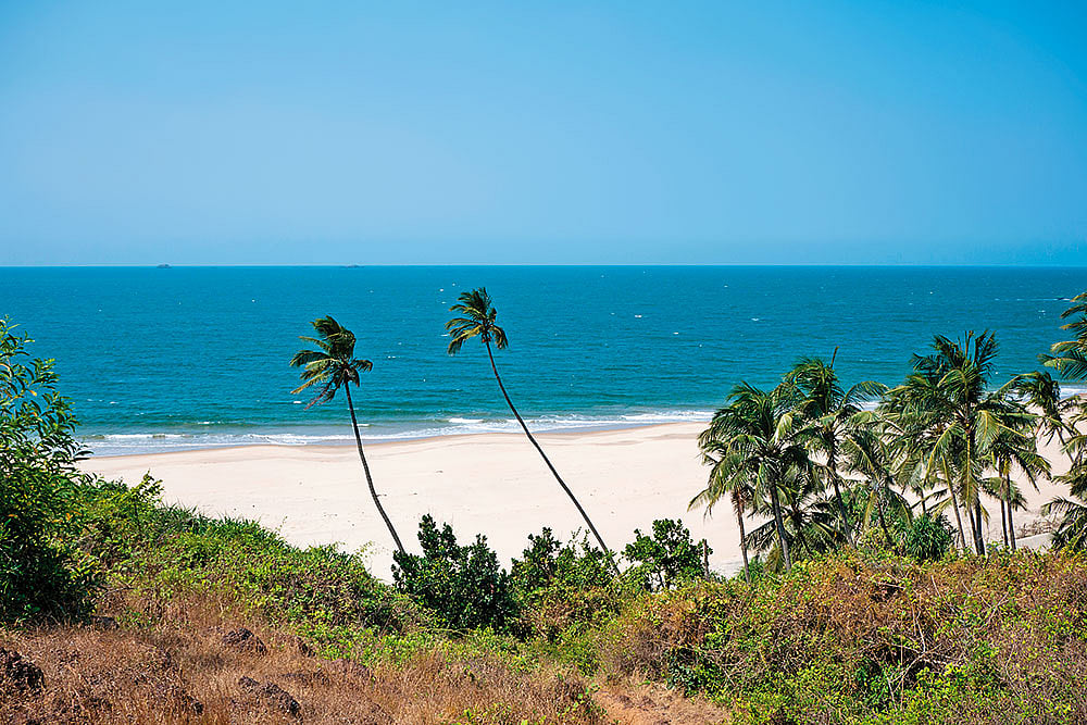 At Bhogwe, discover intimate moments by the beach