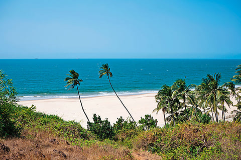 At Bhogwe, discover intimate moments by the beach