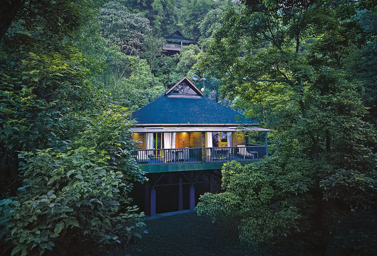 The Tamara Resorts : Escape the loud side of Valentine's at the Tamara Resorts