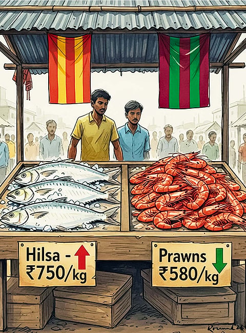 The plummeting an rising prices of hilsa and prawns in Bengal