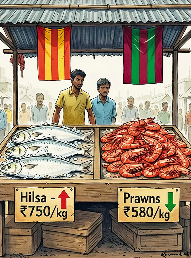 The plummeting an rising prices of hilsa and prawns in Bengal