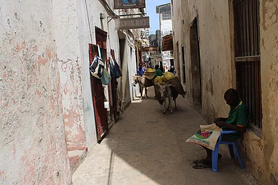 Bukhit2022/Wiki Commons : The pedestrian-friendly, slow-paced lifestyle is central to Lamu island’s distinctive Swahili culture