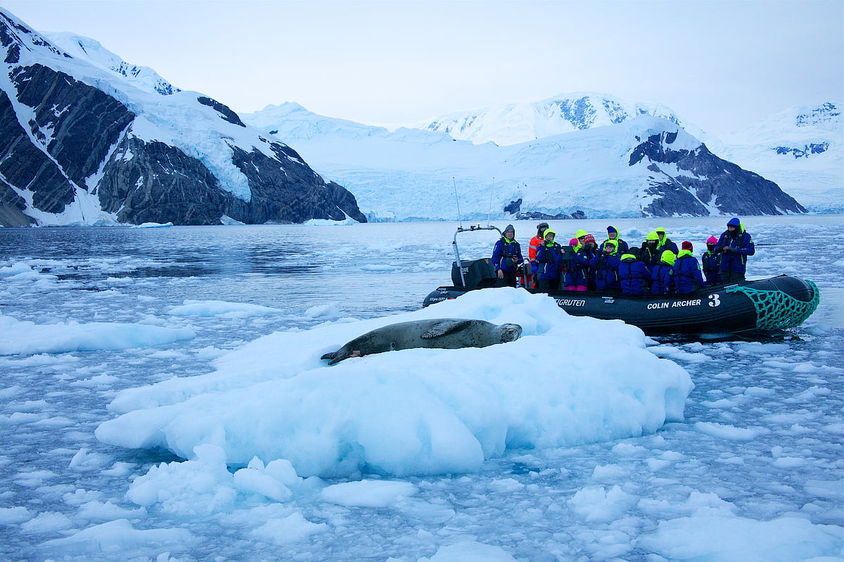 Tourists spot a seal in Antarctica