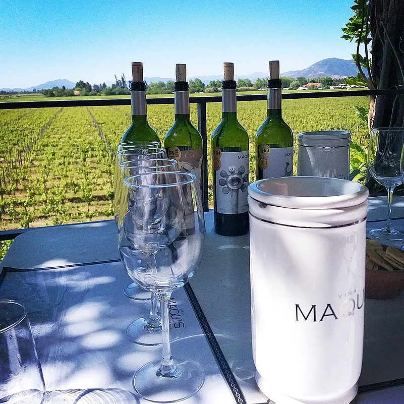 The Marquis Winery in Colchagua Valley
