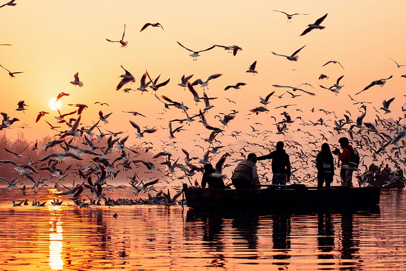 From Himalayan calm to desert grandeur, romance around Delhi comes with many moods