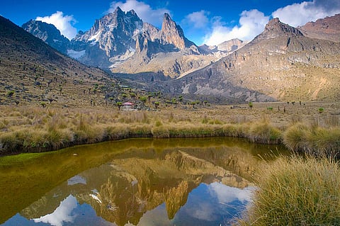 Mount Kenya National Park is home to glaciers and afro-alpine moorlands