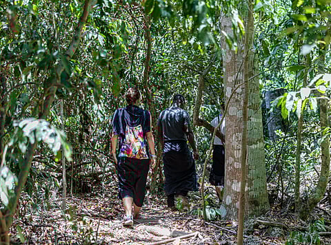 The Sacred Mijikenda Kaya Forests consist of 10–11 forest patches along Kenya’s coast