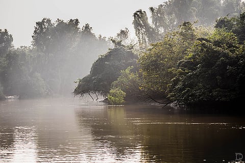 Antara Catamarans, Bhitarkanika Sanctuary