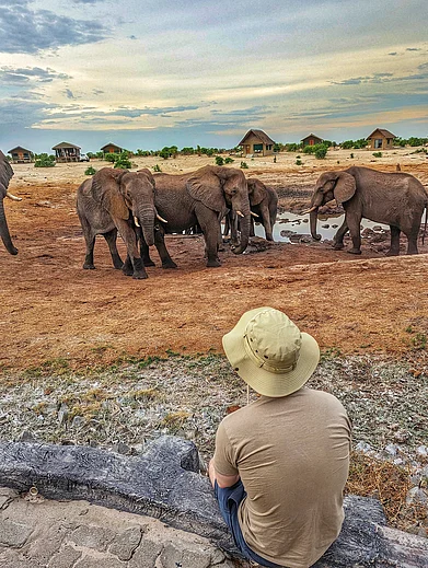 Shutterstock : Elephants gather at a Botswana waterhole