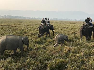 Mohit Handa : Kaziranga offers four safari ranges, each with distinct terrain and wildlife patterns