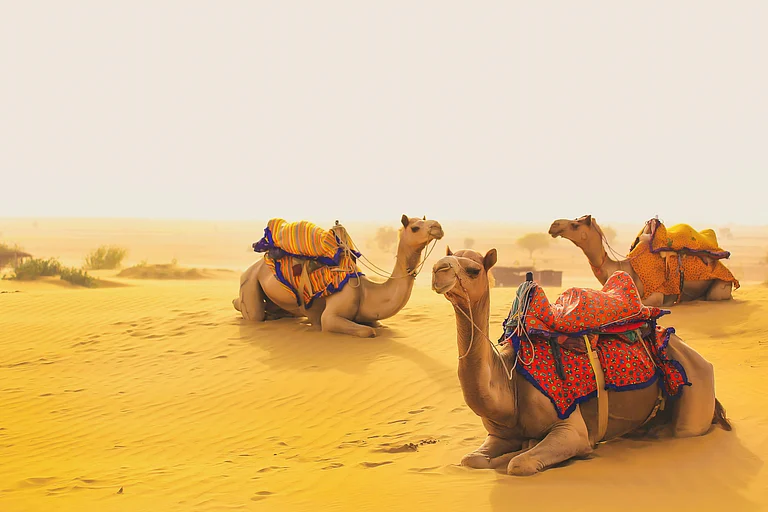 Desert luxury zones and heritage conservation headline Rajasthan’s latest budget - Unsplash