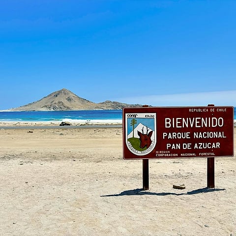 A view of Pan de Azúcar National Park, Chile