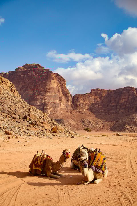 A view of Wadi Rum Protected Area