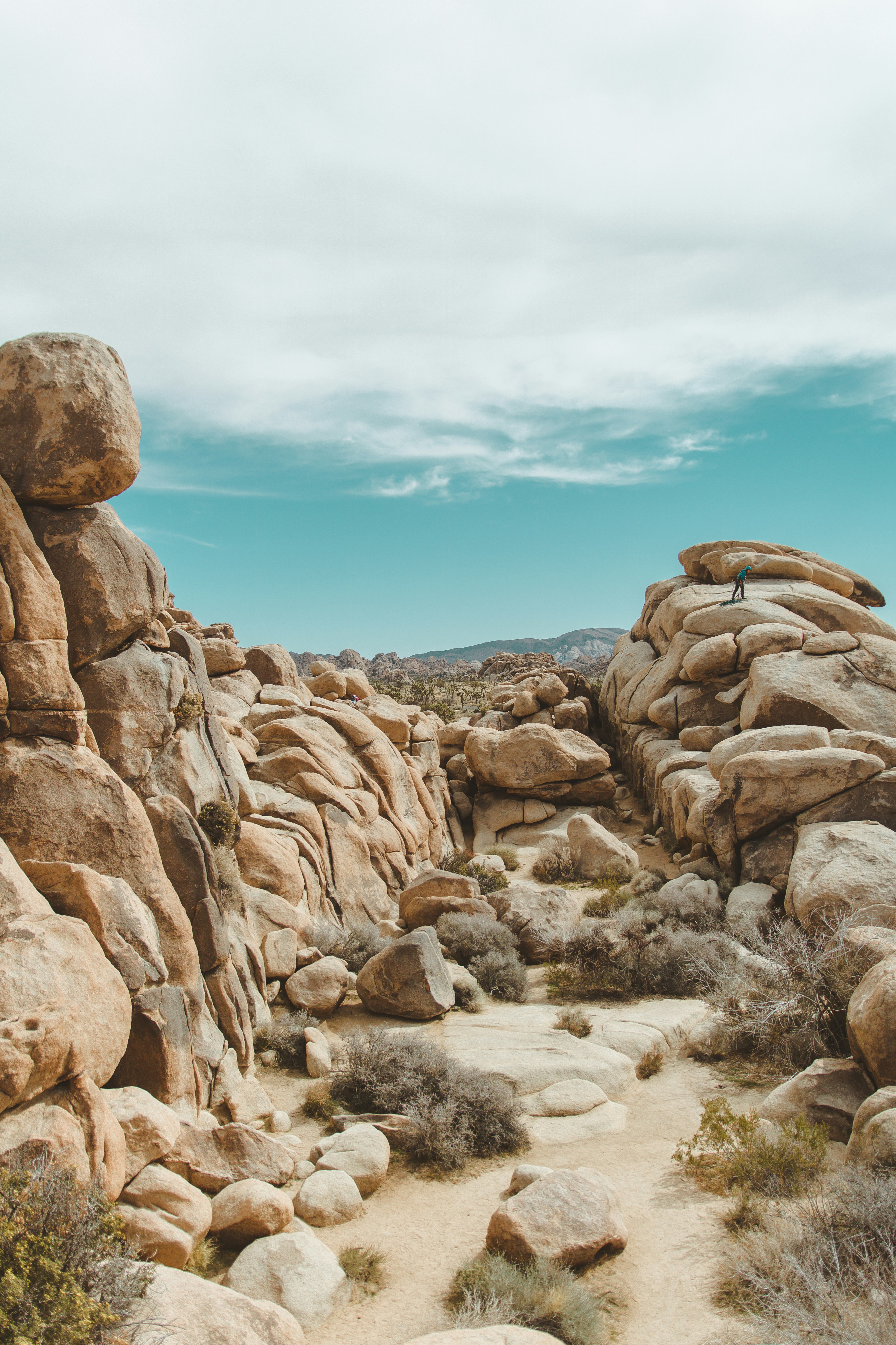 Joshua Tree National Park, United States - Unsplash