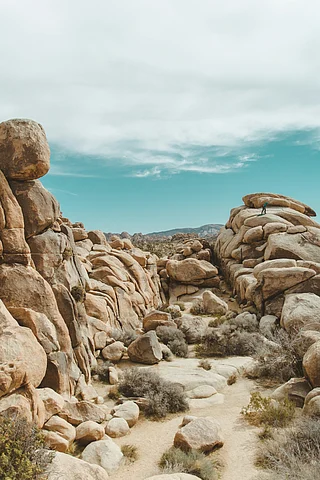 Unsplash : Joshua Tree National Park, United States