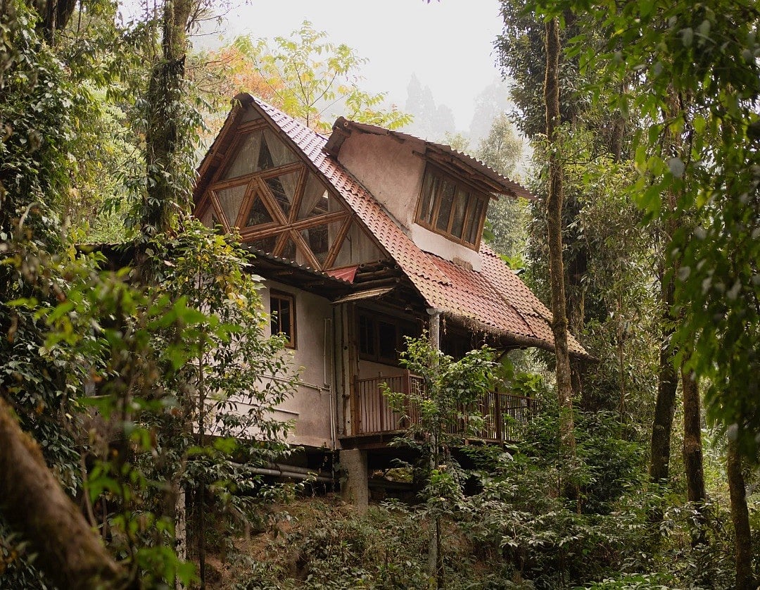 Nestled amid the greens of Darjeeling