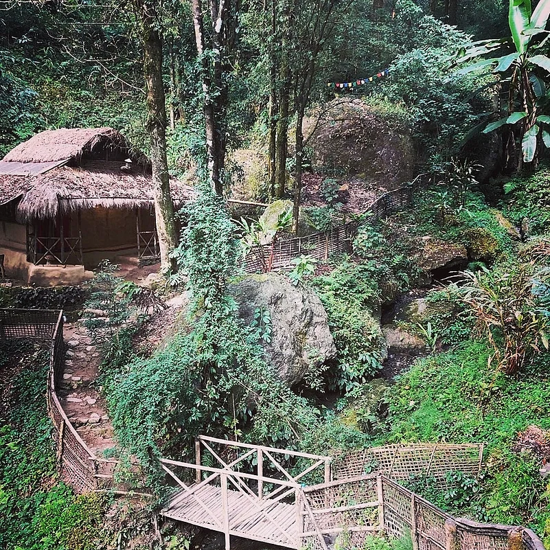 Tieedi Forest Garden—an acronym for Take It Easy, Easy Does It— nestled in Gorabari Village, Sonada Forest, Kurseong subdivision, Darjeeling district, West Bengal.