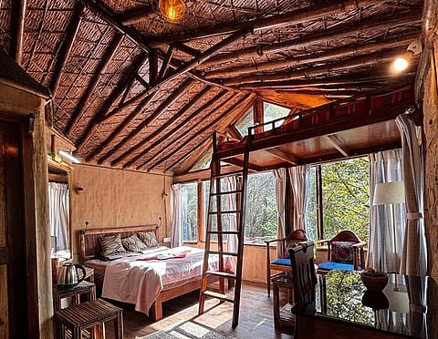 Interiors of Tieedi Forest Garden