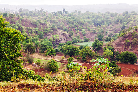 Sahyadri Hills in Purushwadi