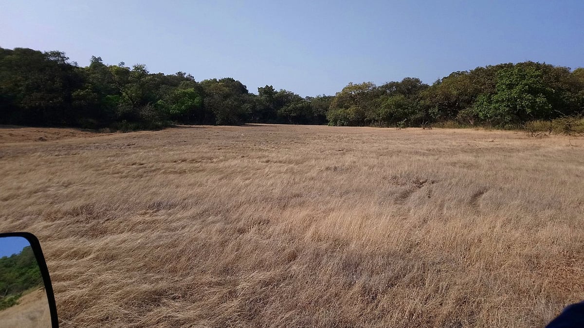 One of Maharashtra’s best-kept secrets