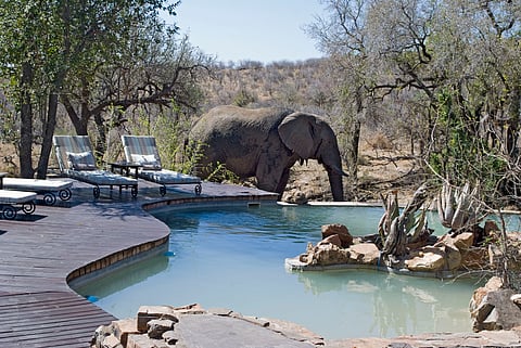 A safari lodge