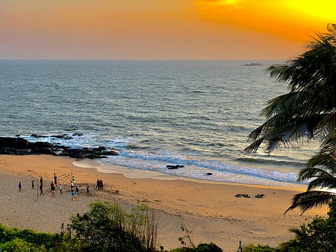 Goa is something of a default choice for coastal pawcations