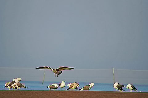 Arnala Jetty, Maharashtra