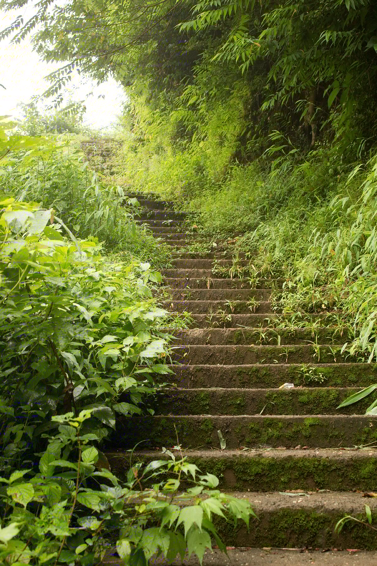 Photographers and nature enthusiasts will find countless opportunities to capture the ethereal beauty