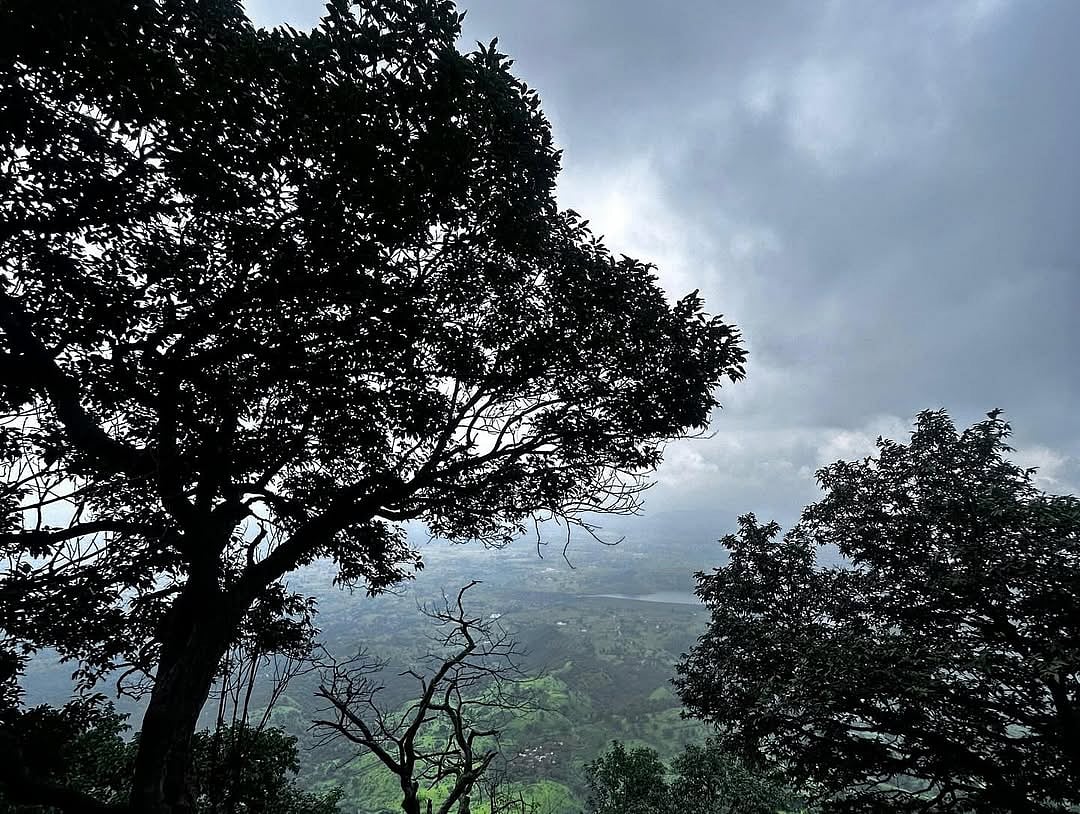 A misty morning at Garbett Point reveals panoramic views of the Western Ghats