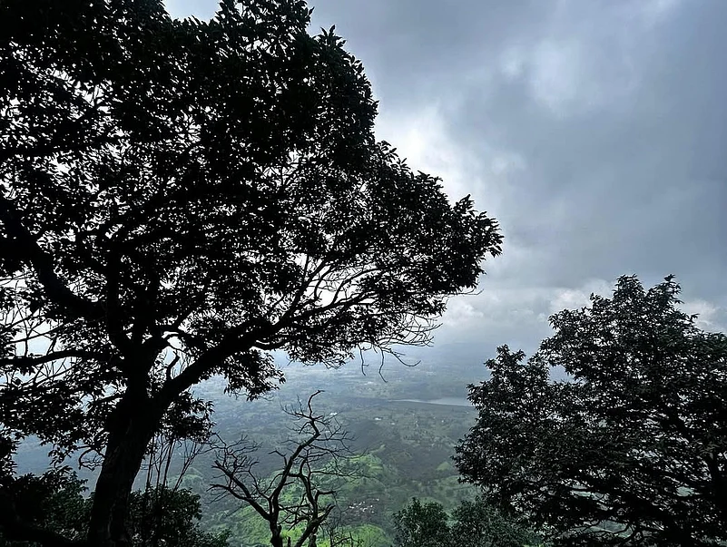 A misty morning at Garbett Point reveals panoramic views of the Western Ghats