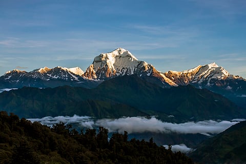 Dhaulagiri from Ghorepani 