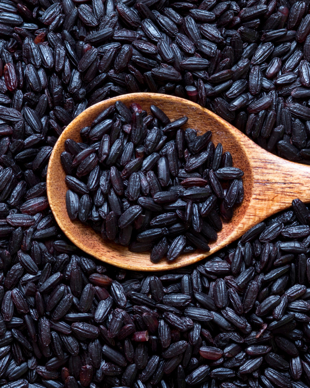 Nutrient-rich indigenous black rice grains