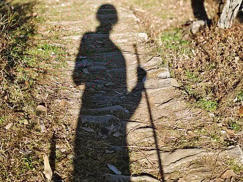 We set off for a trek early morning