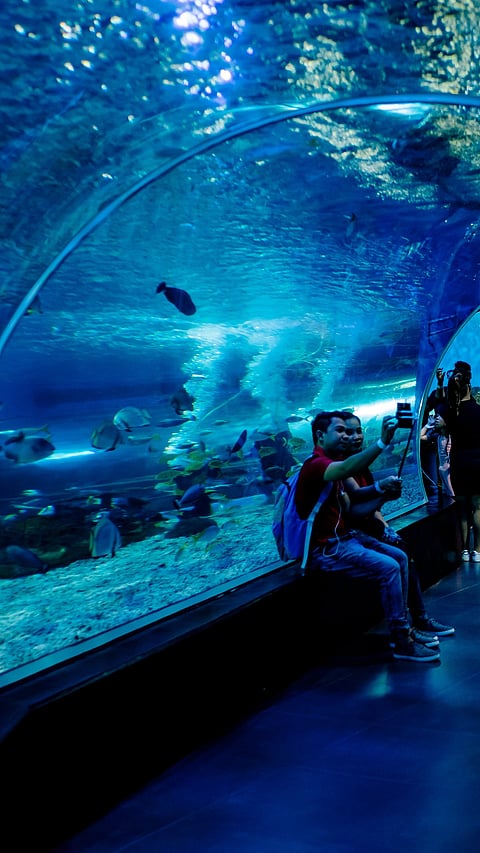 Manila Ocean Park