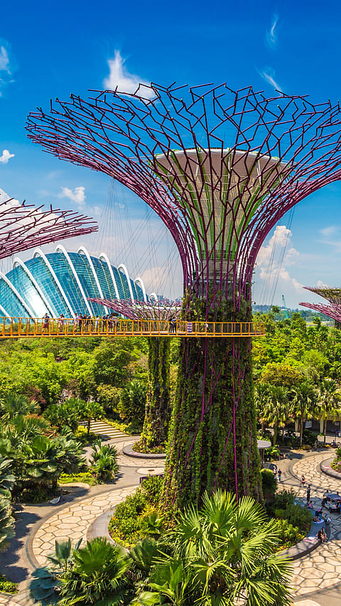 Gardens by the Bay in Singapore