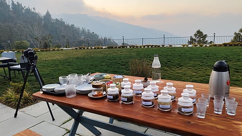 Tea tasting experience at The Chamomile Estate
