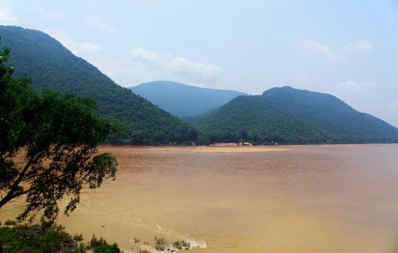 Conservation remains central to Satkosia’s evolving visitor experience