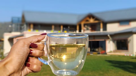 Chamomile tea at The Chamomile Estate in Guniyalekh