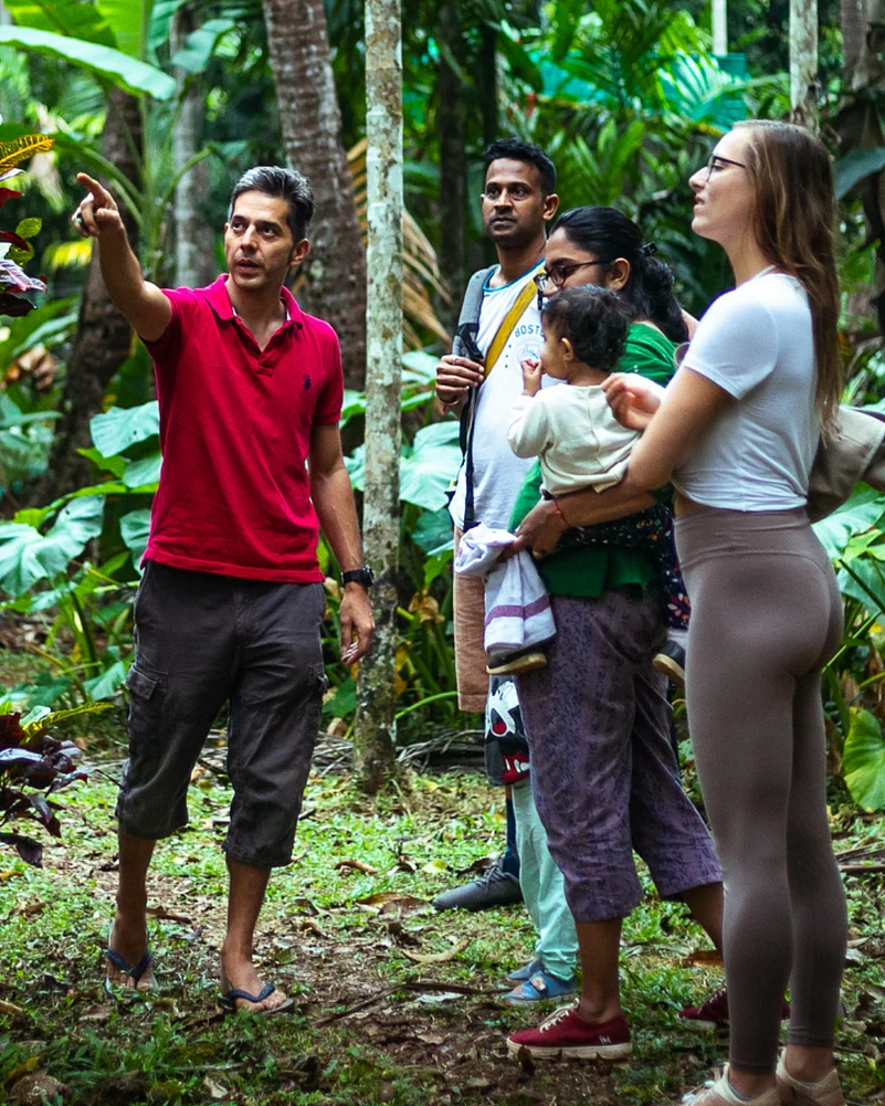 Guided nature walk at Dudhsagar Plantation.