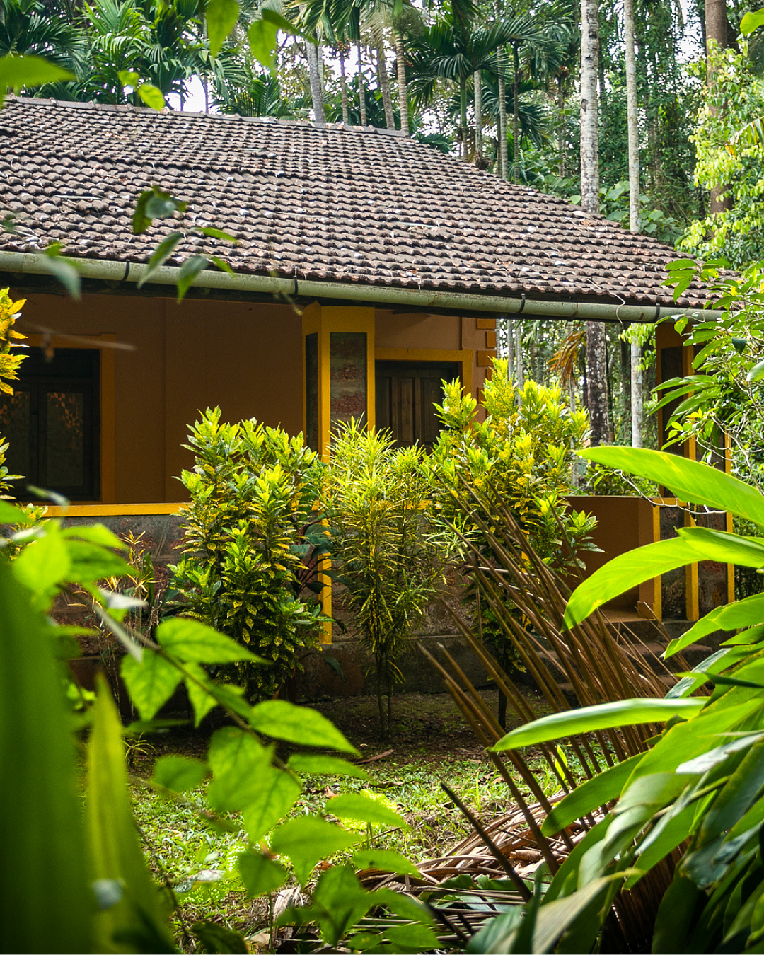Ashok Malkarnekar, Dudhsagar Plantation
