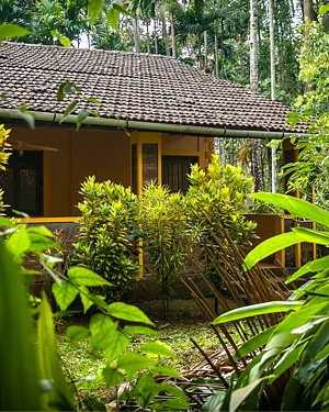 How This Family Transformed Barren Land Into A Thriving Eco-Paradise