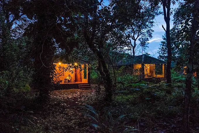 Forest stay. 