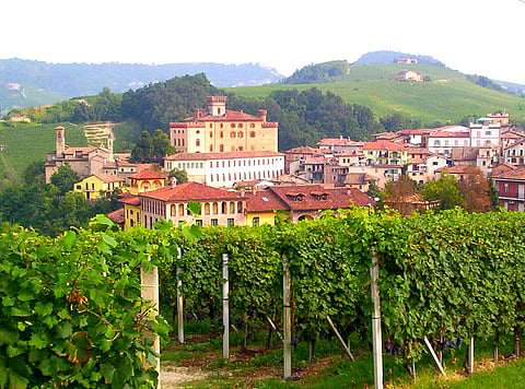 Take a wine tour in Barolo 